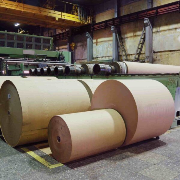 Packaging_Paper_Products_DUMAK